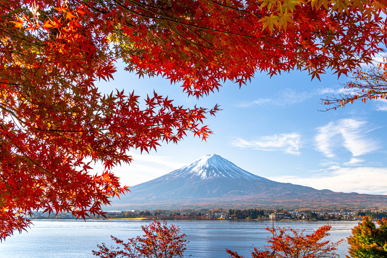 富士山と河口湖畔の紅葉 © koichi_hayakawa