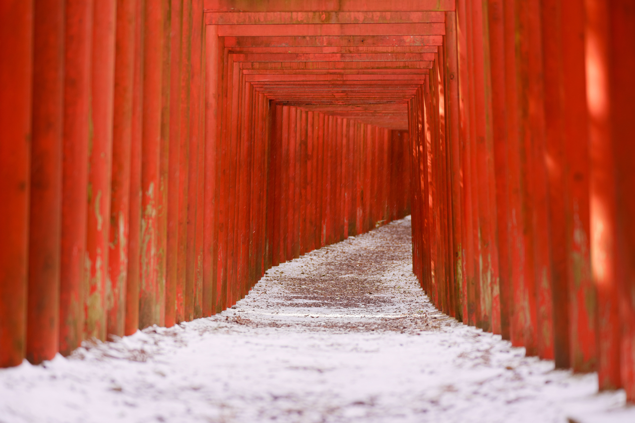 南宮稲荷神社 © SHori